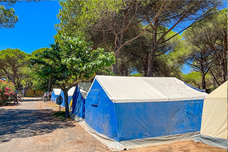 camping en groupe camping la tamarissiere
