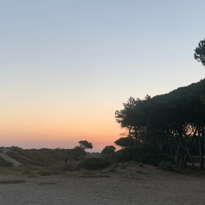Plage de la tamarissiere