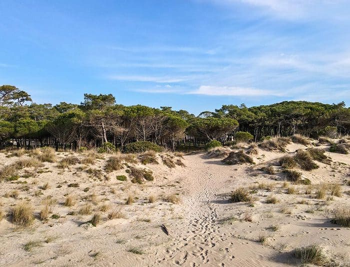 camping méditerranée écologique camping écologique agde