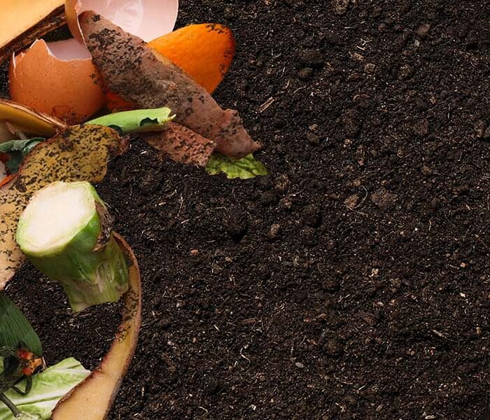 trier et composter les biodechets