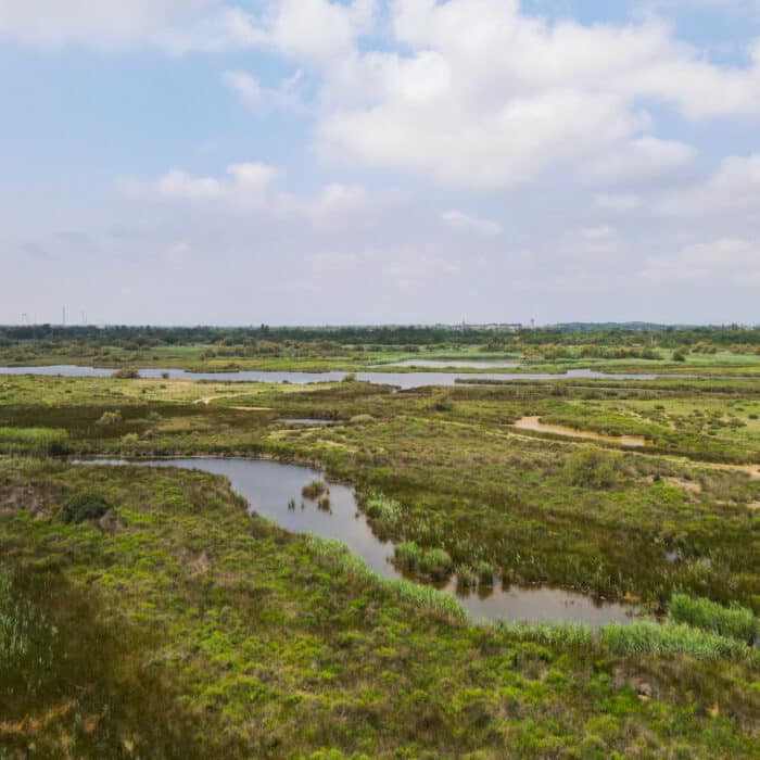 LES VERDISSES AGDE température Agde climat Agde été indien à Agde