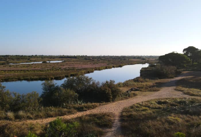 randonnées autour d’Agde sentiers de randonnée Agde randonnées faciles où randonner autour d’Agde Hérault