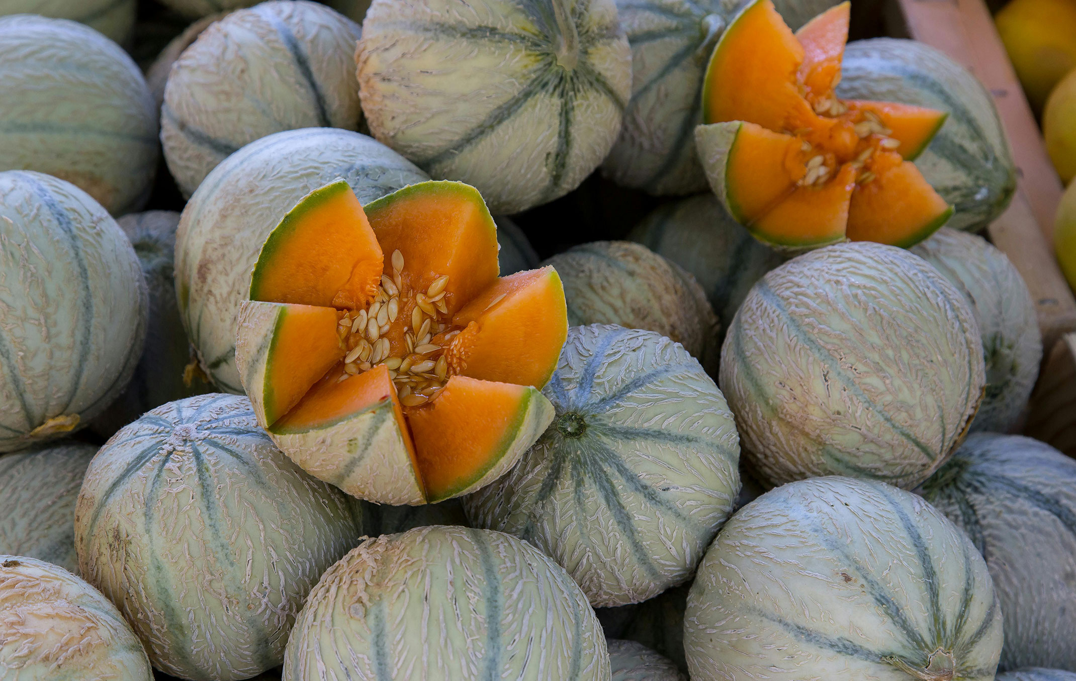 Campsite with grocery store