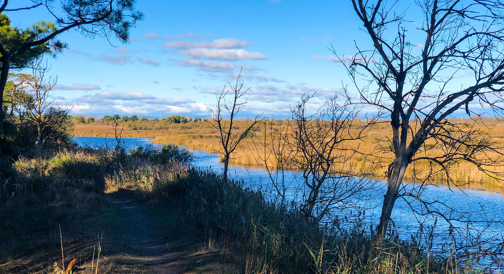 Campsite with petanque court