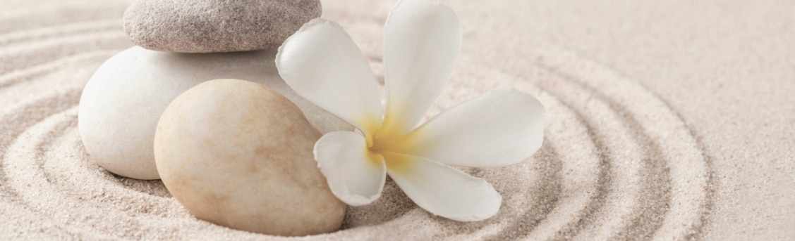 buddhist zen day lodeve