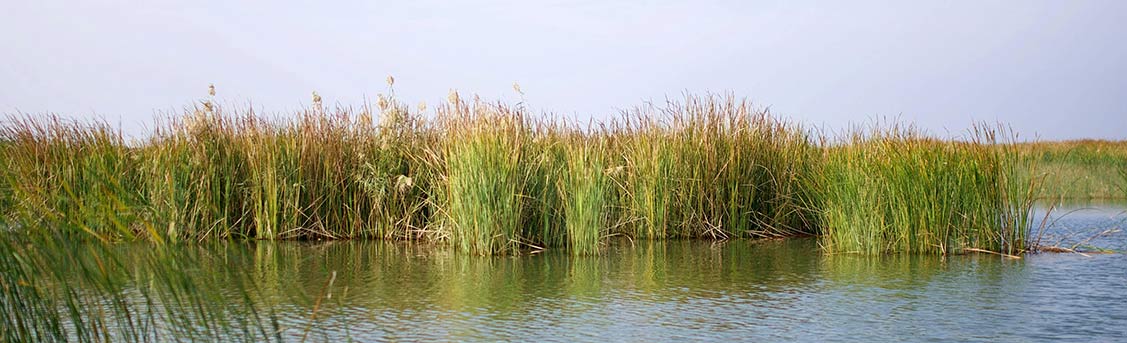 Bagnas Nature Reserve