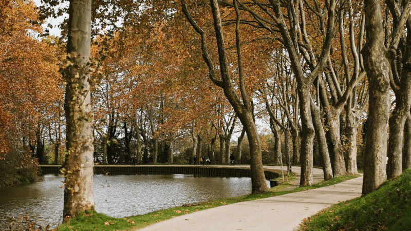 canal du midi automne