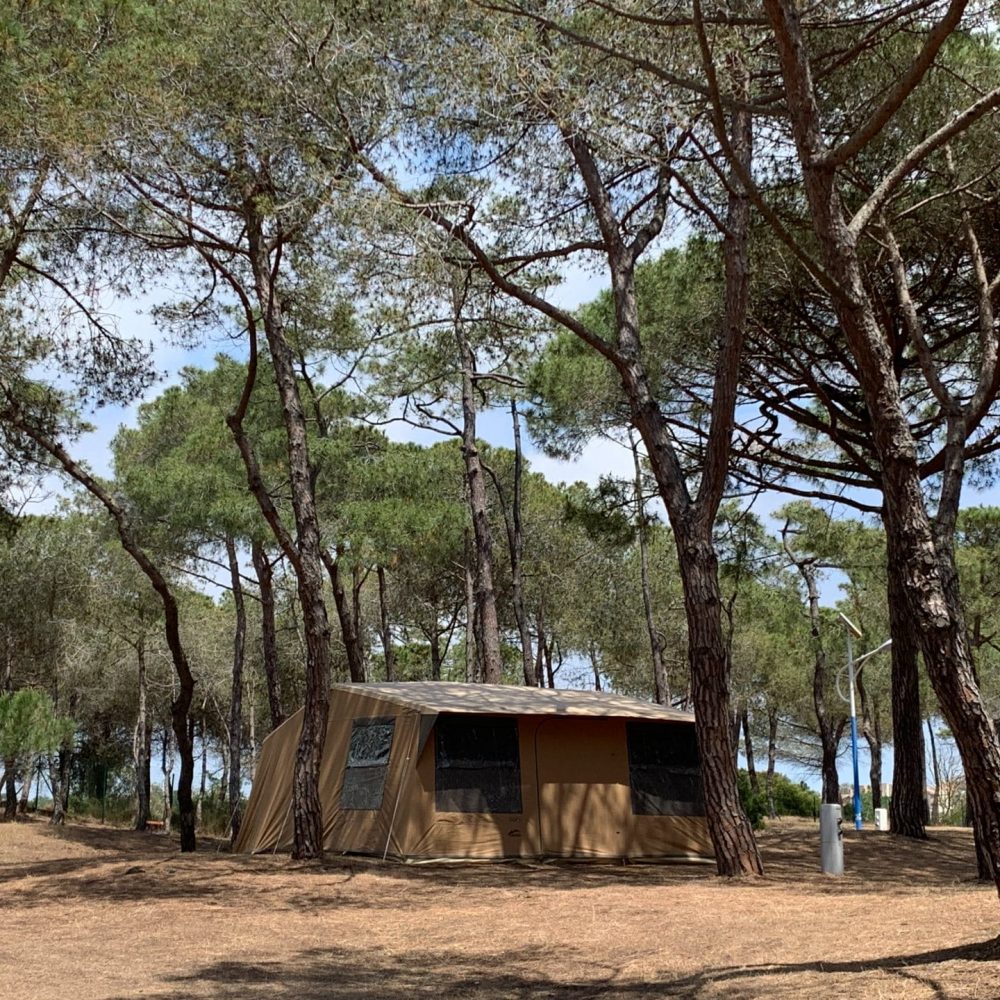 camping la tamarissière hébergements en pleine nature