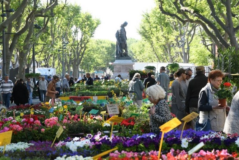 tourisme béziers camping la tamarissière marché aux fleurs